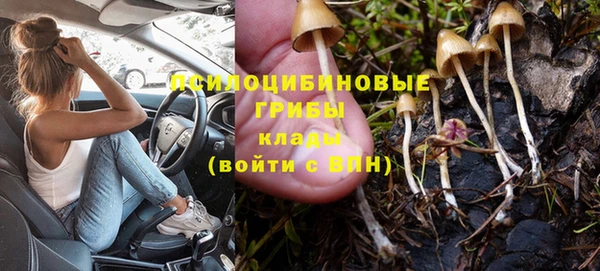 таблы Ельня