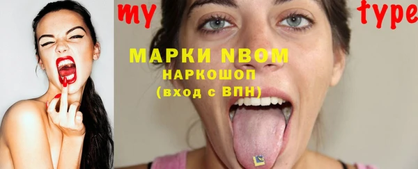 стаф Дмитровск
