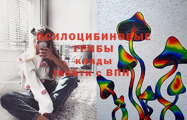 таблы Ельня