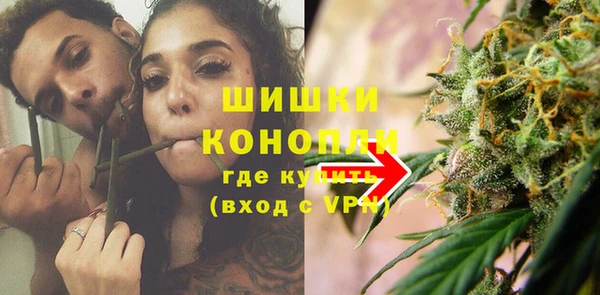 мдпв Дмитров