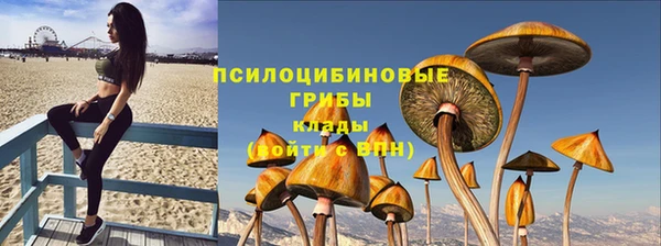 синтетический гашиш Дмитриев