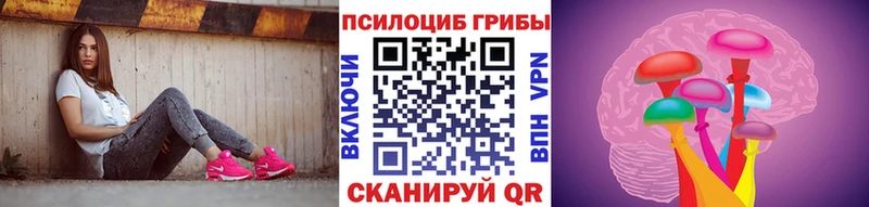 Купить  Белово  Галлюциногенные грибы мухоморы 